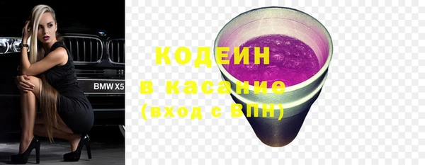 шишки Белоозёрский